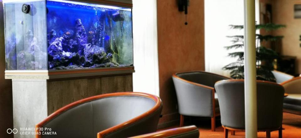 Hotel Pedussaut Saint Gaudens Eksteriør billede